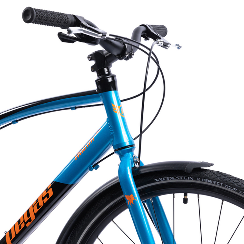 Bicicleta Pegas Hoinar Man, 28 inch, 9 viteze, furca fixa, cadru aluminiu, franare cu disc, Hardtail, Albastru/Negru